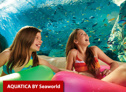 Black Friday - SeaWorld Orlando Three Park Ticket (3 anos ou +) 